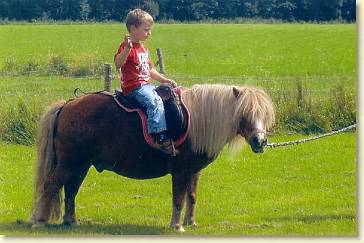 20070819-01 Op de pony